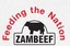 ZMBF.ZM logo